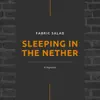 Fabric Salad - Sleeping in the Nether - Single